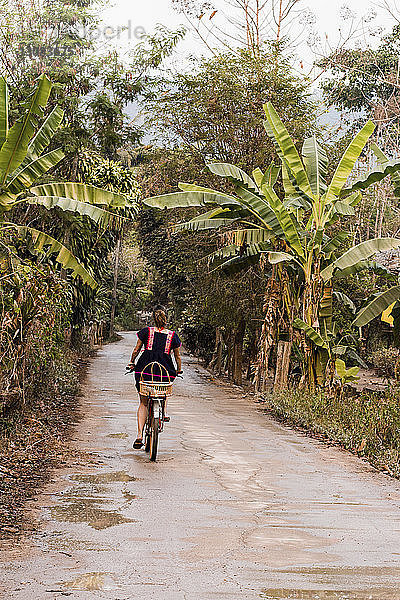 Rückansicht einer Frau  die auf der Straße inmitten von Bäumen und Pflanzen Fahrrad fährt