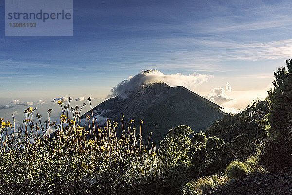 Idyllischer Blick auf den Volcan de Fuego vor blauem Himmel