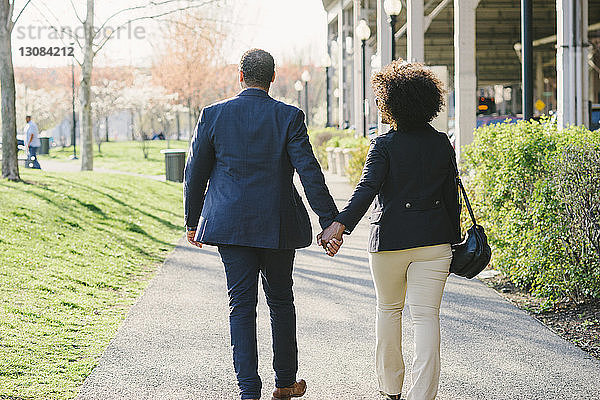 Rückansicht eines Paares  das sich an den Händen hält und auf einem Fußweg im Park geht