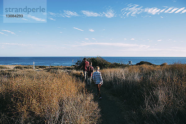 Rückansicht eines Vaters mit Hund und Söhnen  die inmitten von Pflanzen auf dem Feld am Meer gegen den Himmel spazieren