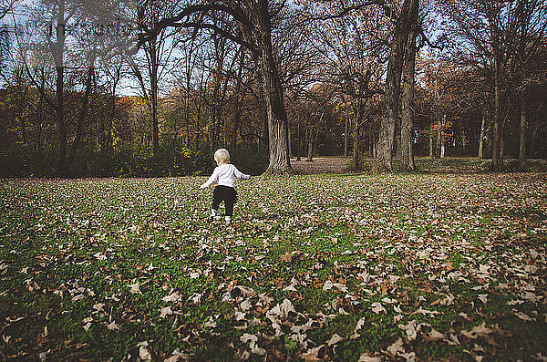Rückansicht eines kleinen Mädchens  das auf einem Feld vor Bäumen steht