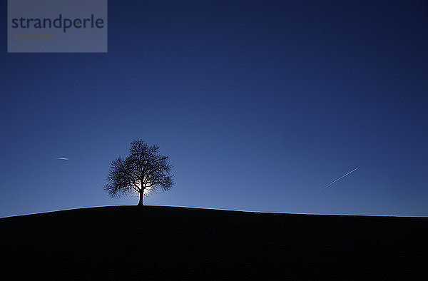 Silhouette eines kahlen Baumes auf dem Feld vor blauem Himmel bei Nacht