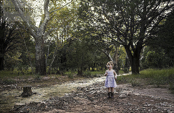 Neugieriges Mädchen steht am Bach gegen Bäume im Wald