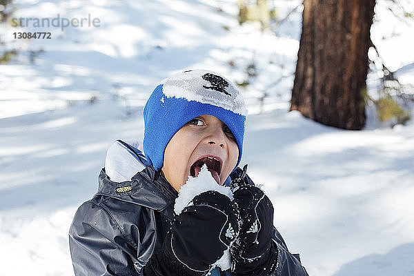 Hochwinkelporträt eines Jungen  der im Wald Schnee isst