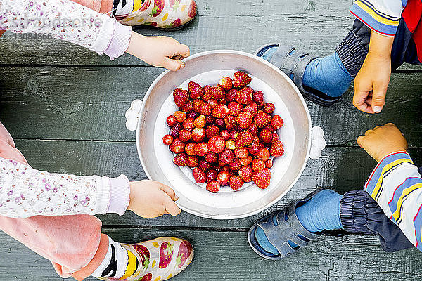 Unterer Teil der Geschwister mit frisch geernteten Erdbeeren im Container auf dem Bodenbrett