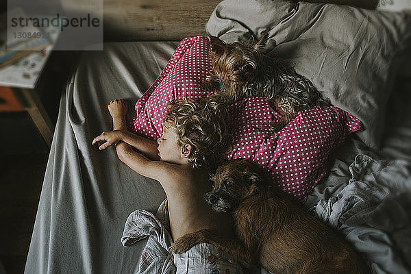 Hochwinkelaufnahme eines Jungen  der zu Hause mit Hunden auf dem Bett schläft