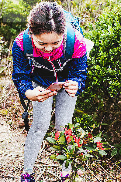 Wanderin  die im Wald stehend Pflanzen mit dem Handy fotografiert
