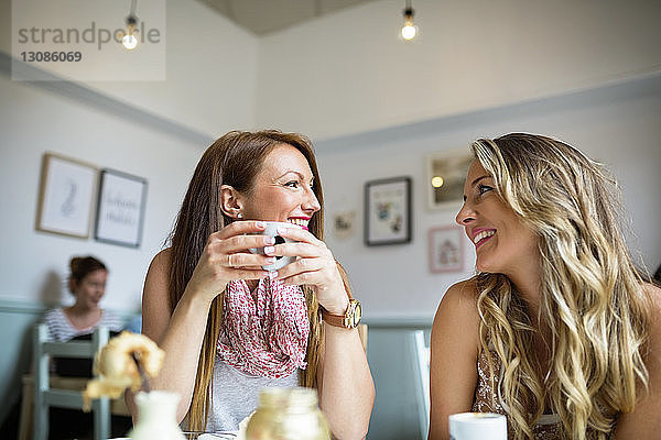 Schöne Freundinnen unterhalten sich im Café