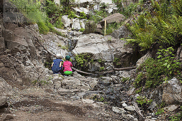 Rückansicht von Geschwistern  die auf Felsen kauern und auf fließendes Wasser blicken