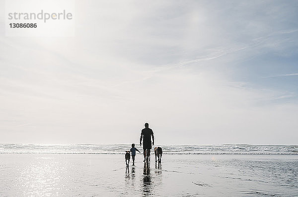 Rückansicht von Vater und Tochter mit Hunden  die am Strand gegen den Himmel laufen