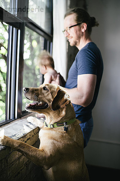 Seitenansicht eines Vaters mit Tochter und Hund beim Blick durchs Fenster