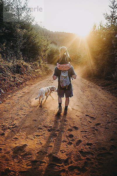 Rückansicht eines Vaters  der seine Tochter auf den Schultern trägt  während er mit seinem Hund bei Sonnenschein auf einem Feldweg spazieren geht