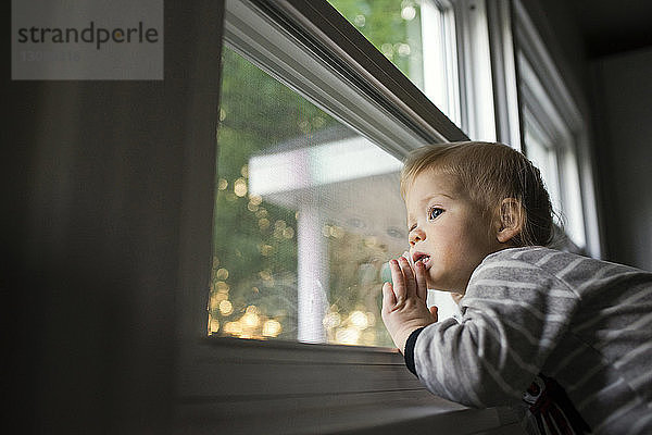 Niedrigwinkelansicht eines neugierigen Jungen  der durch ein Fenster schaut