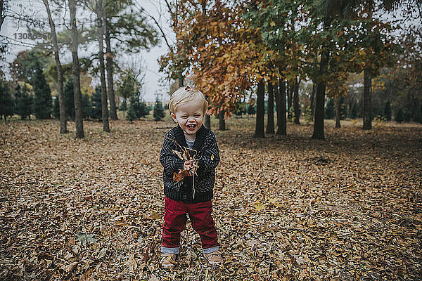 Porträt eines fröhlichen kleinen Jungen  der mit Herbstblättern spielt  während er im Park steht