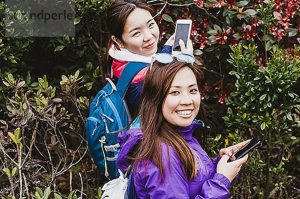 Porträt von Freundinnen  die mit Mobiltelefonen Bäume fotografieren