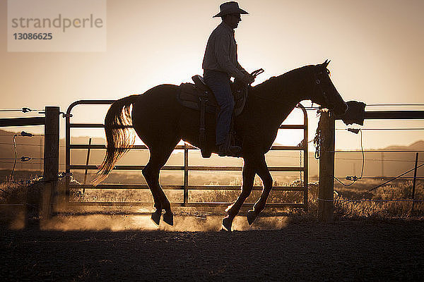 Silhouette Mann reitet Pferd auf dem Bauernhof