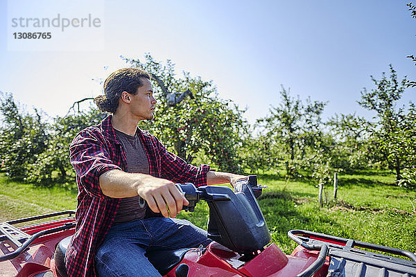 Landwirt fährt Traktor in Obstplantage gegen klaren Himmel