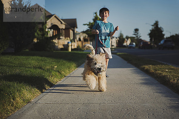 Junge mit Hund auf Wanderweg inmitten des Feldes