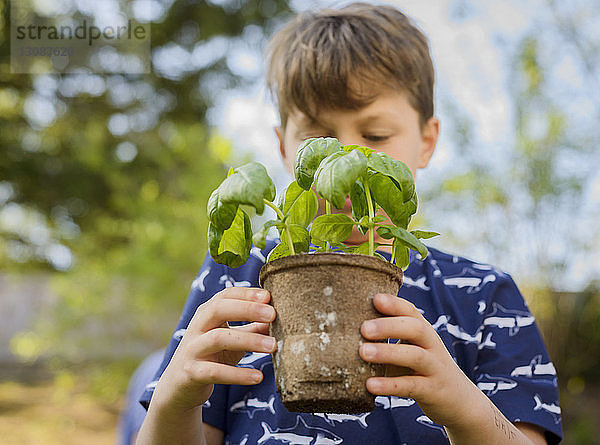 Junge hält Topfpflanze während Gartenarbeit im Hinterhof