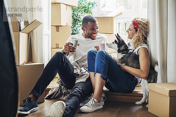 Glückliches Paar spielt mit Hund  während es im neuen Haus an der Tür sitzt