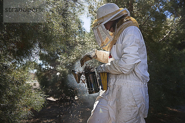 Bienenzüchterin mit Bienenstockraucher bei der Arbeit