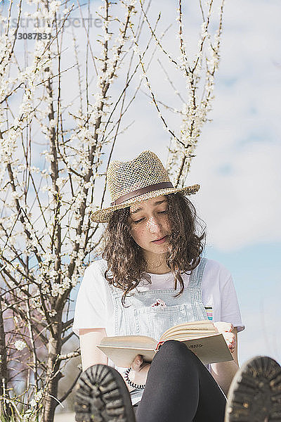 Junge Frau liest in voller Länge ein Buch  während sie im Park an einem Baum sitzt