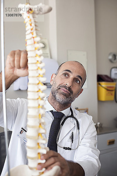 Arzt hält Modell des Wirbelsäulenskeletts bei der Arbeit im Krankenhaus