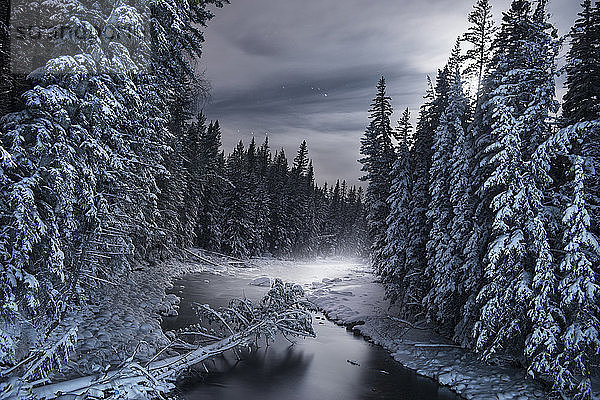 Landschaftliche Ansicht eines gefrorenen Flusses inmitten schneebedeckter Bäume
