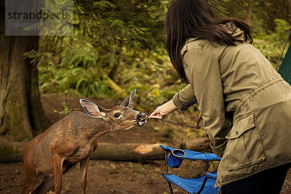 Frau füttert Hirsche  während sie im Wald steht
