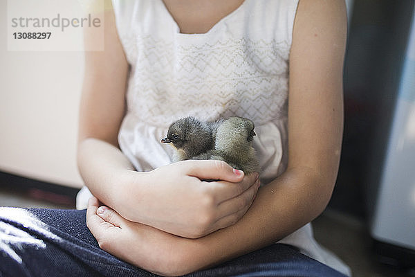 Mitten in einem Mädchen  das zu Hause sitzende Jungvögel hält