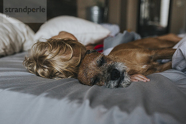 Junge schläft mit Schnauzer zu Hause im Bett