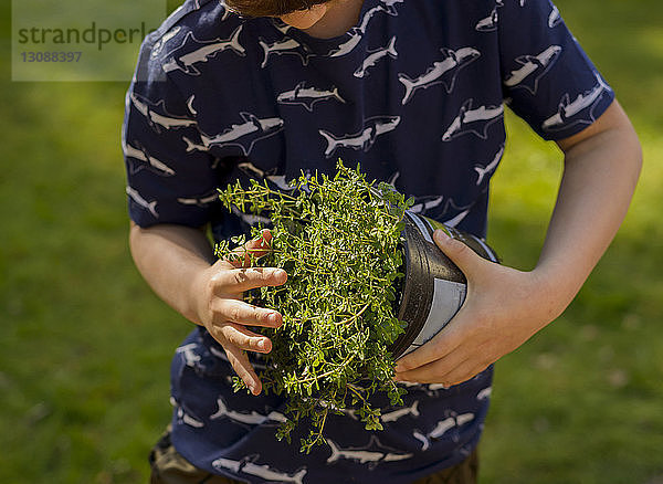 Junge untersucht Topfpflanze bei Gartenarbeit im Garten