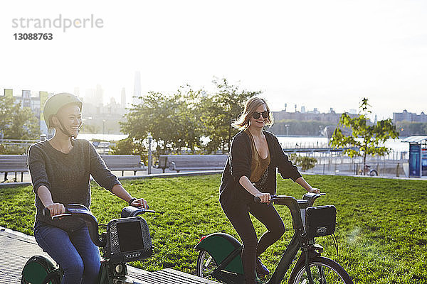 Glückliche Freunde fahren Fahrrad im Park gegen den klaren Himmel