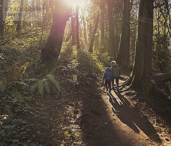 Rückansicht von Jungen  die im Wald spazieren gehen