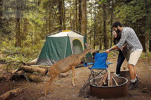Fröhliches Paar füttert Hirsche  während es an einer Feuerstelle im Wald steht
