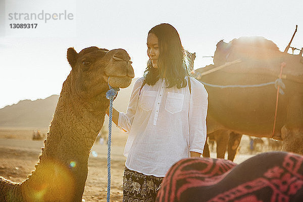 Lächelnde Frau sieht Kamel an  das sich am sonnigen Tag in der Wüste am Himmel entspannt