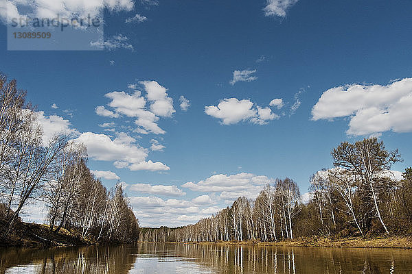 Bäume am Fluss gegen blauen Himmel