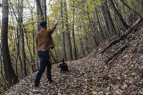 Rückansicht eines Mannes mit Hund beim Waldspaziergang im Herbst