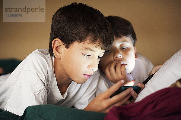 Brüder  die in das Telefon schauen  während sie zu Hause im Bett liegen