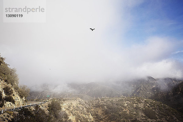 Szenische Ansicht eines Vogels  der über die Landschaft gegen einen bewölkten Himmel fliegt