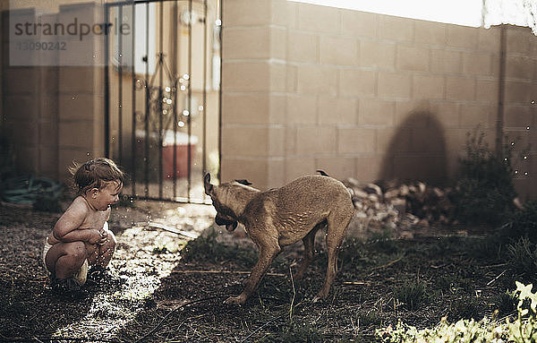 Junge spielt mit Hund im Garten