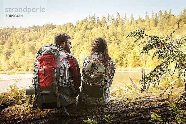 Ehepaar im Gespräch auf einem umgefallenen Baumstamm im Wald sitzend