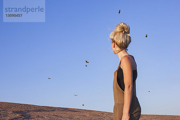 Seitenansicht einer Frau  die Vögel beobachtet  die gegen den klaren blauen Himmel fliegen