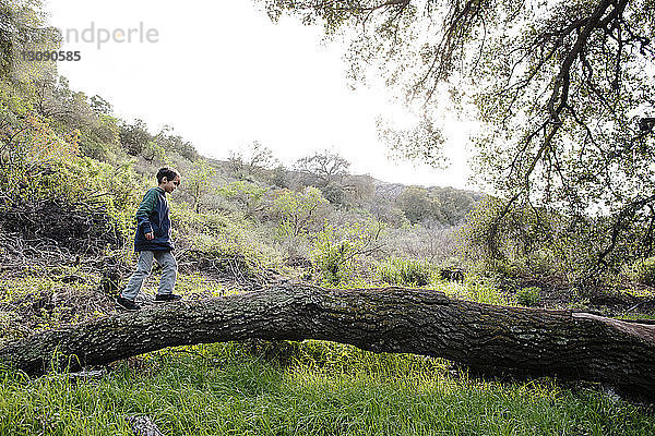 Seitenansicht eines Jungen  der auf einem Baumstamm gegen den Himmel im Wald läuft