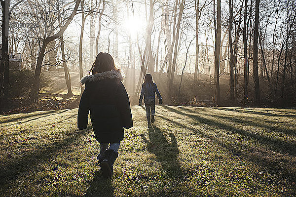 Rückansicht von Schwestern  die an einem sonnigen Tag auf einem Grasfeld im Wald spazieren