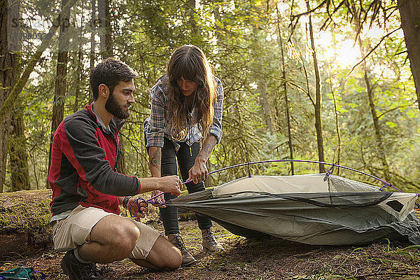 Ehepaar bereitet Zelt im Wald vor
