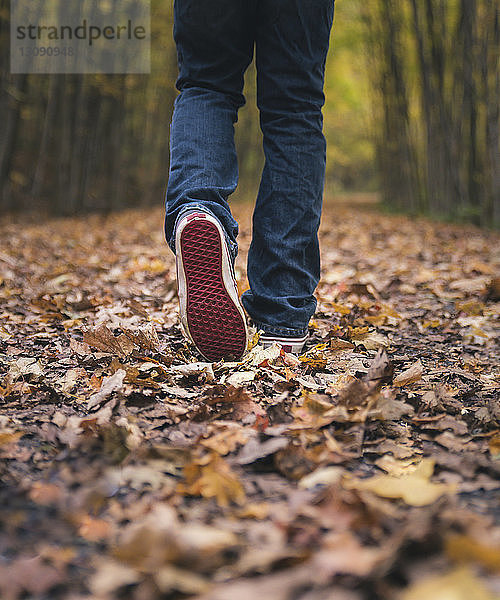 Niedriger Abschnitt eines Jungen  der im Herbst im Park auf herabgefallenen trockenen Blättern läuft