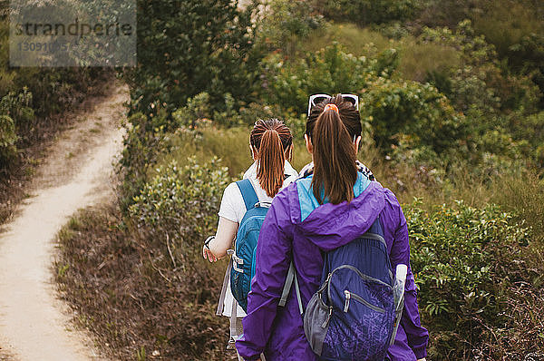 Rückansicht von Wandererinnen mit Rucksäcken  die auf einem Feldweg inmitten von Pflanzen gehen
