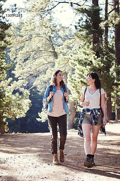 Freundinnen beim Waldspaziergang im Gespräch
