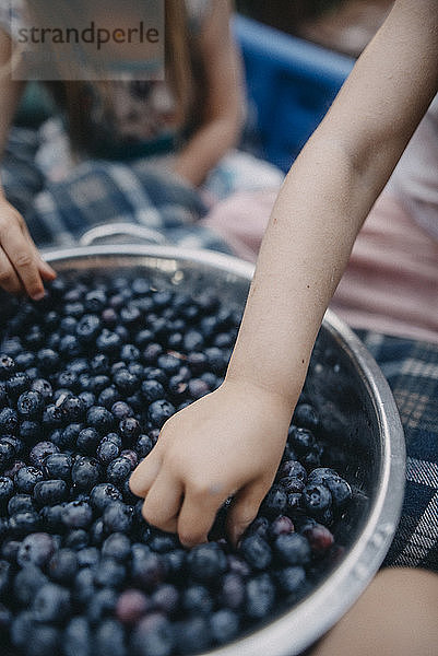 Geschnittene Hände von Schwestern beim Pflücken frischer Blaubeeren vom Sieb